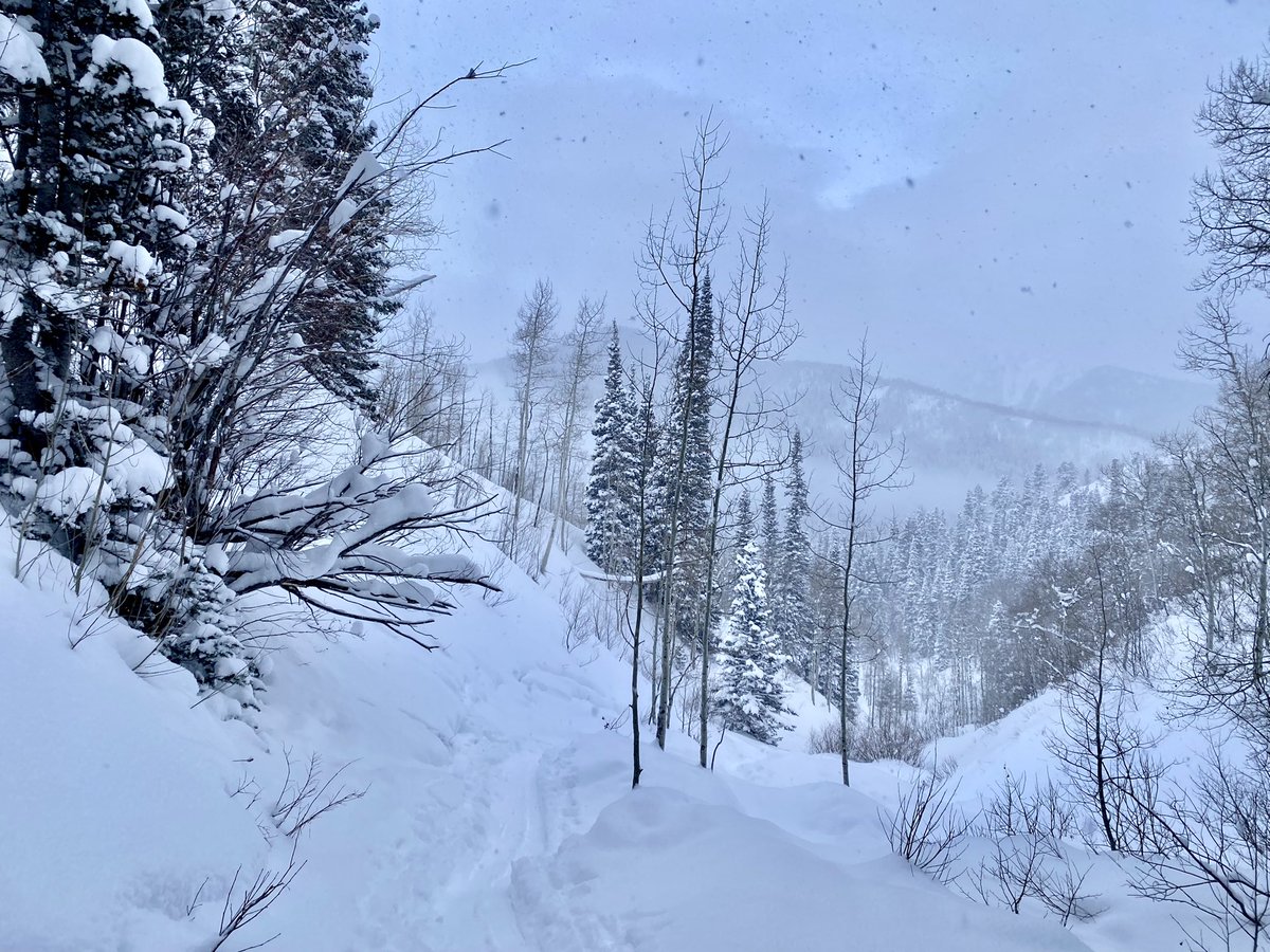 Sara McCormack tweet media