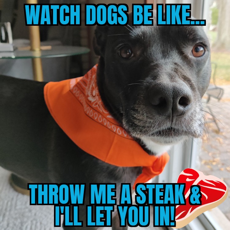 RyderSecurity's tweet photo. As a dog🐕whisperer, you wouldn't believe some of the things that come out of their mouths! Get the soap 🧼 &amp; call Ryder Security! 🚨

#funnymemes #funnydog #dogmemes #metrodetroit #detroit #michigan https://t.co/CxQWkDUsjj