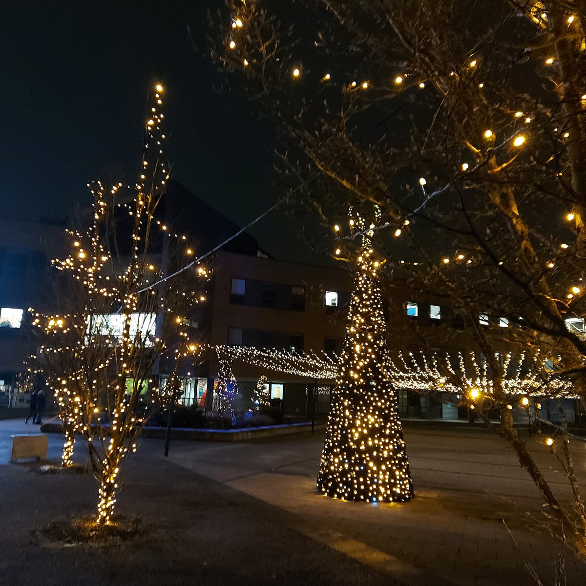 Christine Stewart tweet media