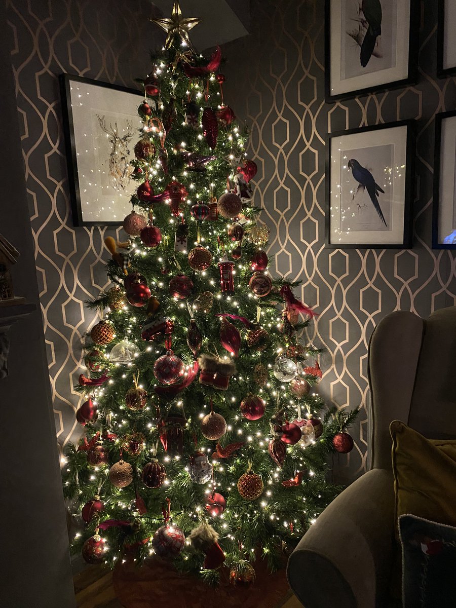 JJMorelaj's tweet photo. 2022 Christmas tree #pickytree https://t.co/FSDfTPjZnv