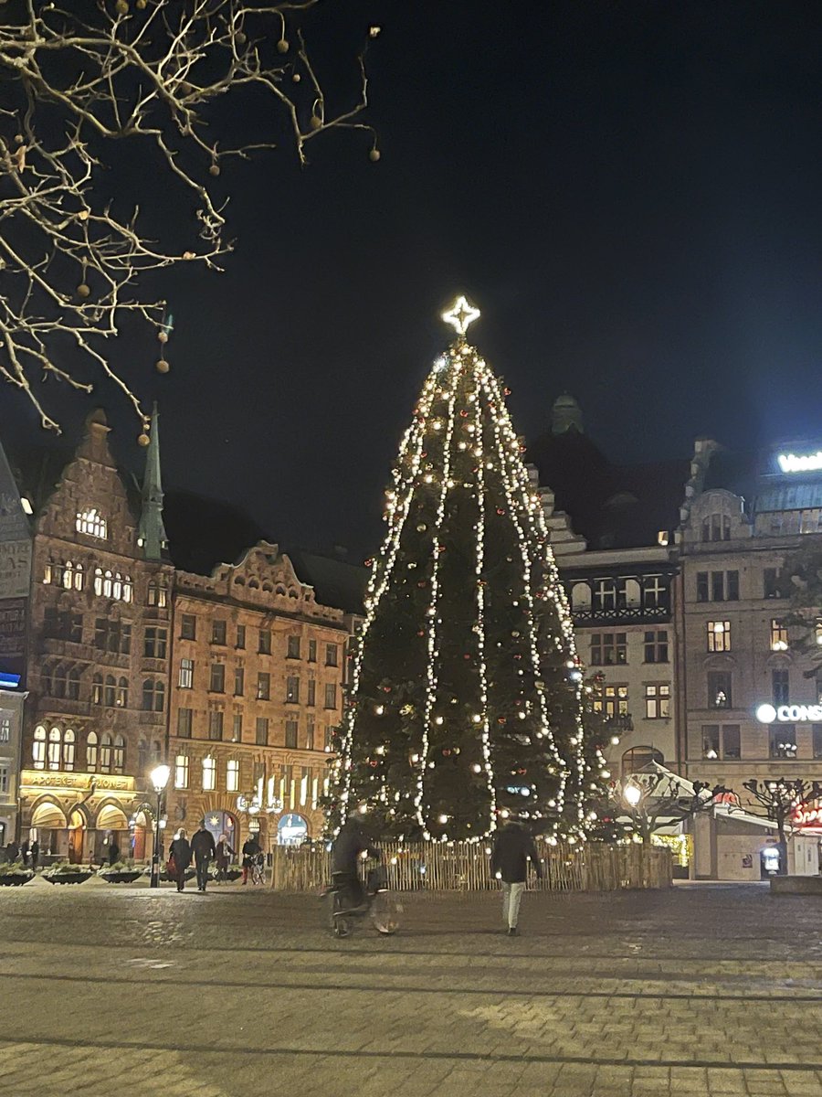 My lovely horse tweet media