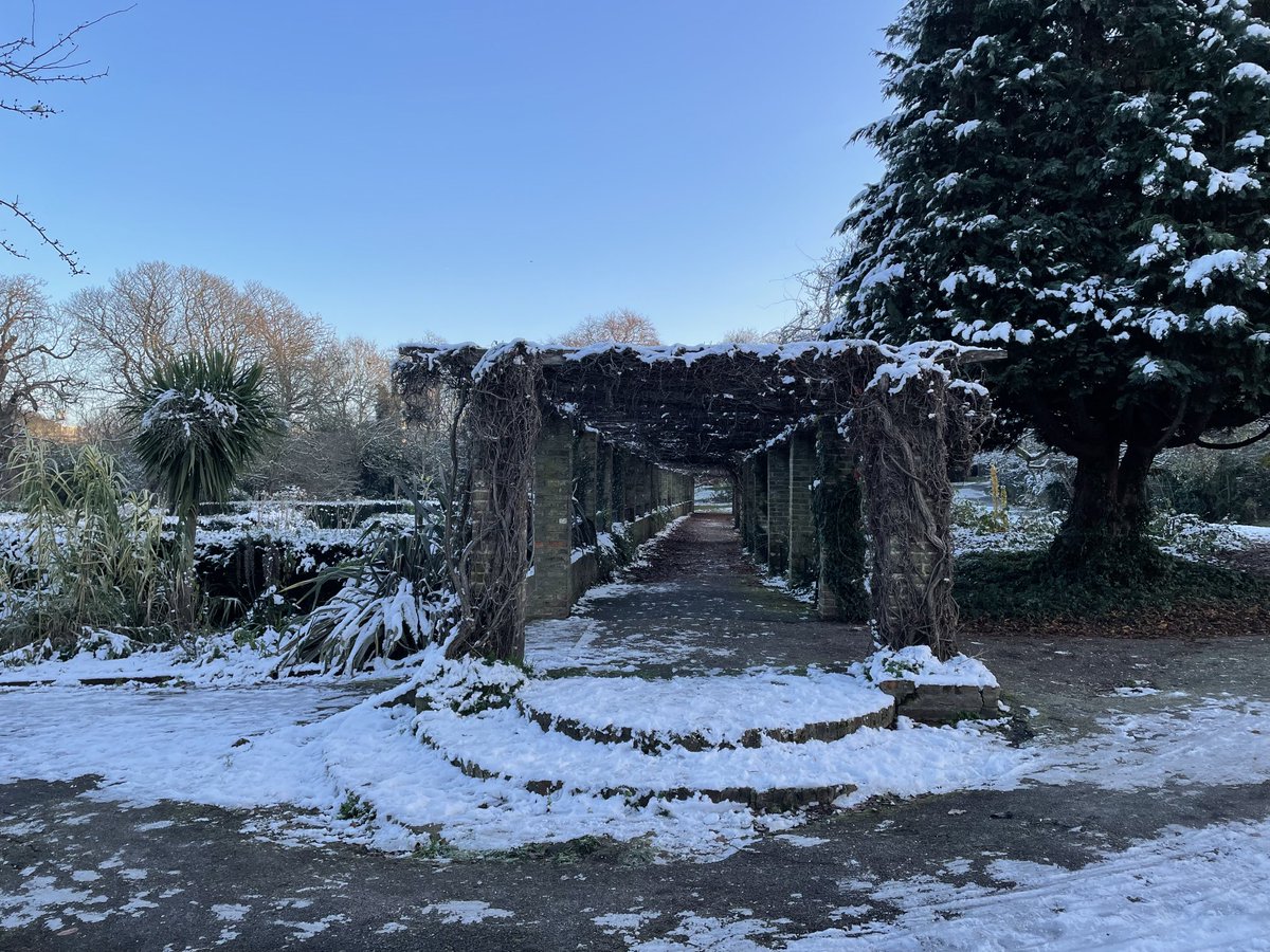 tim lynch tweet media