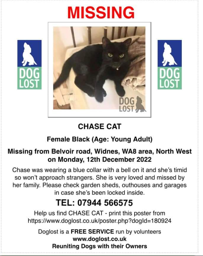 MissingPetsGB's tweet photo. 🐱 CHASE is a two year old domestic shorthair #missing from Belvoir road #Wides #WA8 on Monday 12 December 2022
Chase was wearing a blue collar with a bell on it &amp; she's timid. She is very loved and missed by her family. 
https://t.co/GCNnk4FtEg https://t.co/mKy14DQB4g