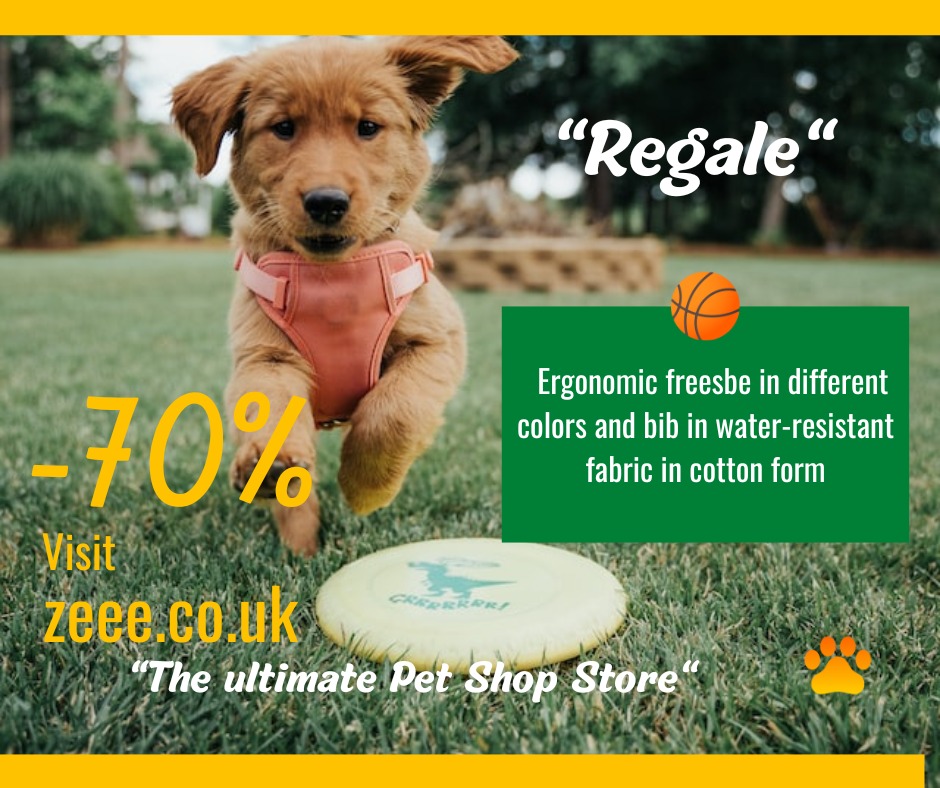 neromcorp's tweet photo. Awesome products. Let's just say "Regale"

#FIFAWorldCup   
#ArgentinaVsCroatia
#knack #Milan
#goat #QatarWorldCup2022
#Messi𓃵 #EuroLeague
#dogsoftwitter

Visit us ;)
https://t.co/yHvyllpZyk https://t.co/dwinUkX3sQ
