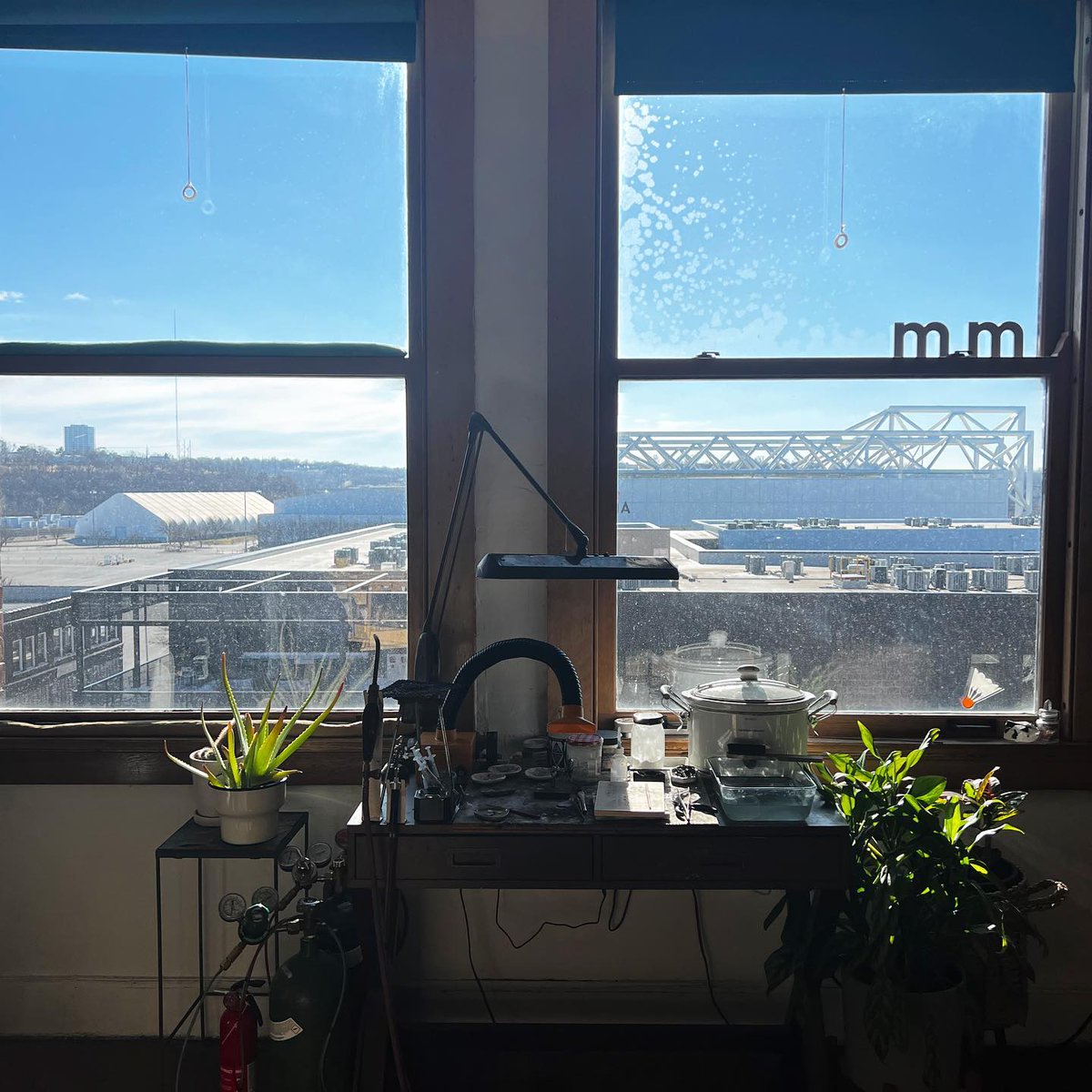 meritmadekc's tweet photo. The sun is giving me so much joy right now!  It’s been so cloudy here in KC for the last few days.☀️🕶️💛 Yes, I’m basically a lizard. https://t.co/RzpzArhhF3 https://t.co/OwAtAG44ph