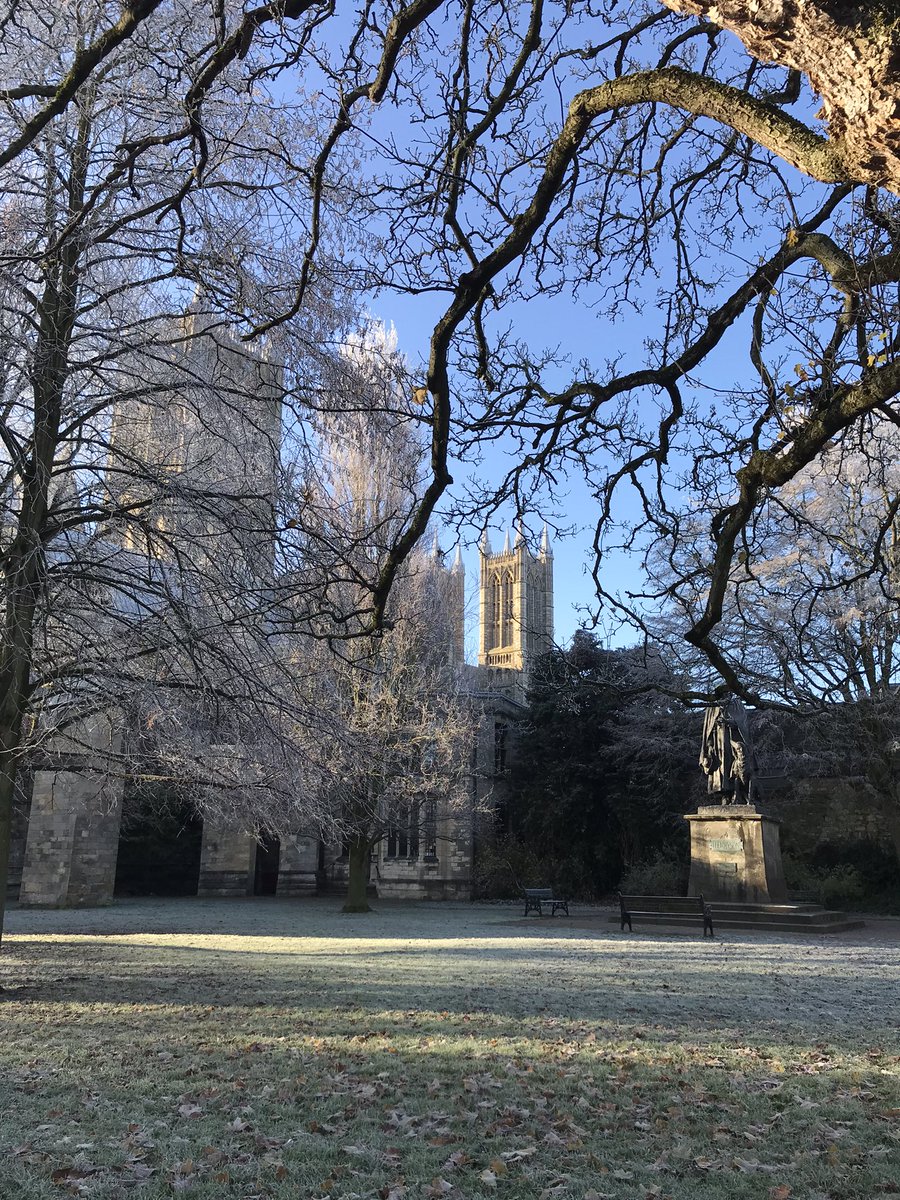 JaneCowan9's tweet photo. Frozen cobwebs and hoar frost on Tennyson and the east green trees at Lincoln Cathedral today. https://t.co/8RQFzmeLcE