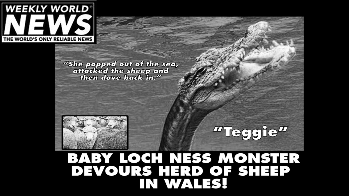 weeklyworldnews's tweet photo. "Baby Loch Ness feeding season. They like sheep, what can we say."
#sheep #wales #lochness #babylochness #lochnessmonster #teggie #devoursherd https://t.co/OgdKXRpjeE