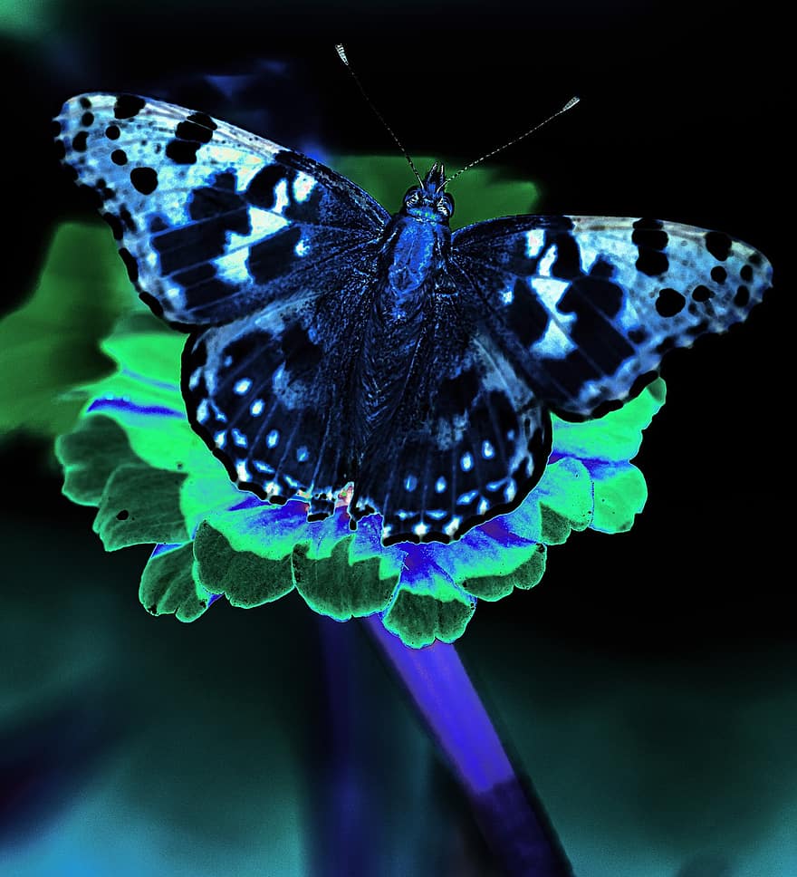 🦋💫🦋

🔹 Ne t'envole pas!
              Reste là!encore un peu!
       Par toi revivent les jours morts 
       En mon coeur,solennel trésor,
       Avec l'image de mon pére  ! 💦🫂💦
    
   #Restelà #Encore #Peu 🙏