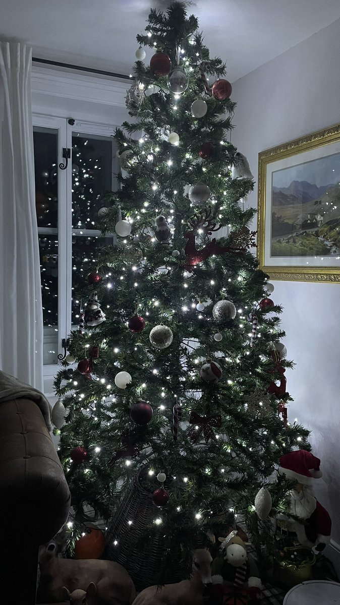 elizaCThomp's tweet photo. @williamhanson  #pickytree Red and White classic tree, the pictures never look as good as the real thing! Candy canes are the main feature but they get lost in the pic https://t.co/g7GC3g8cJX