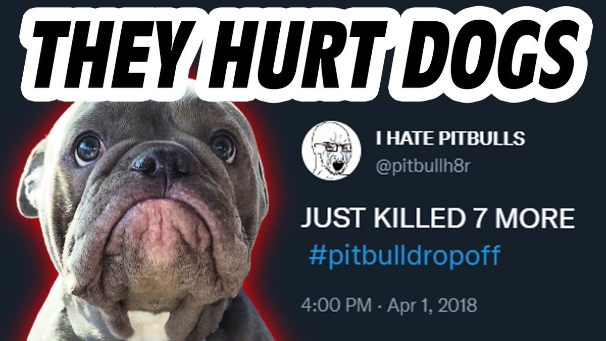 The 4chan Puppy Massacre (link below)