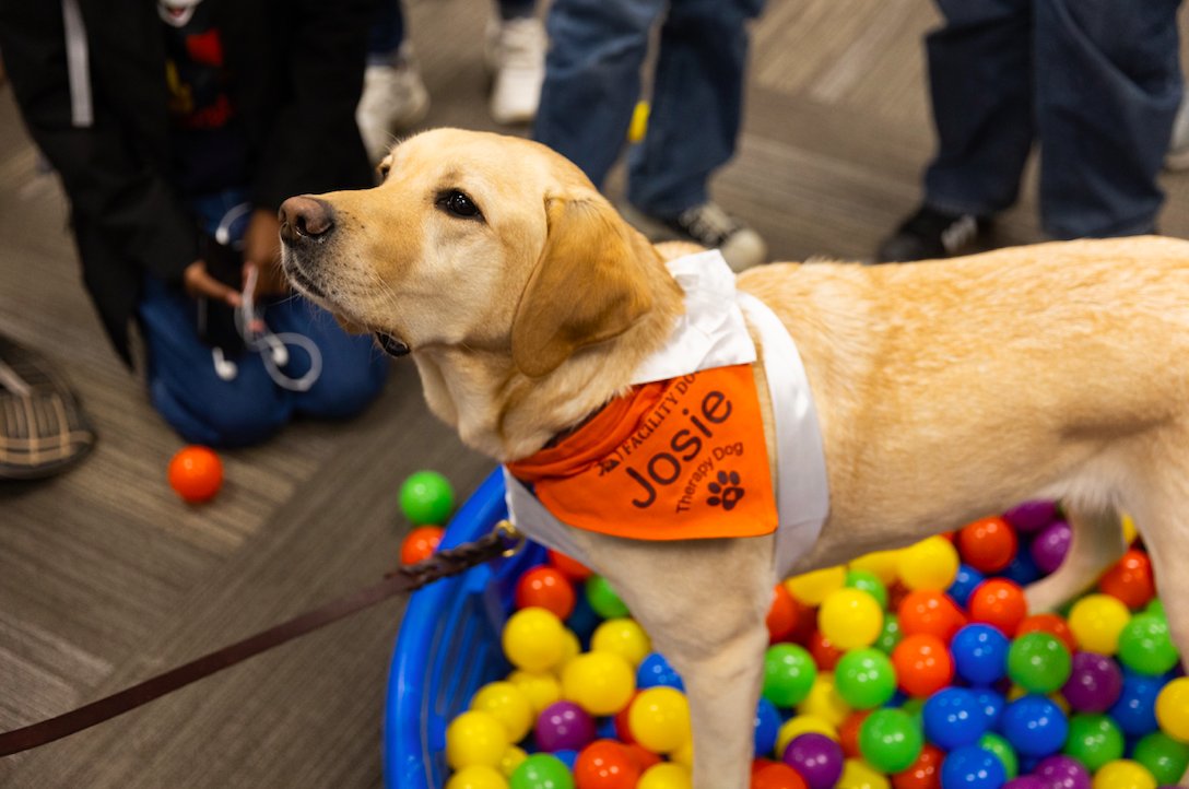 StudentsAtVT's tweet image. What 👏 A 👏 Semester 👏  

Here are some highlights from this fall to help you remember what makes #virginiatech soooooo special 

#hokies #fall22 #recap