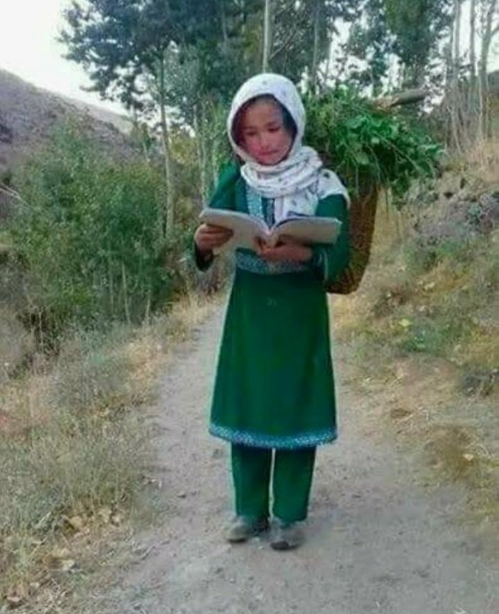 خرم آنکس که در این محنت گاه خاطری را سبب تسکین است.
پروین اعتصامی
دوستان یکشنبه ها طوفان توییتری را فراموش نکنید. به امید افغانستان آزاد و اباد 🌱
#StopHazaraGenocide 
#LetAfghanGirlsLearn 
#BanTaliban 
#UnitedAgainstTaliban
#Afghanistan