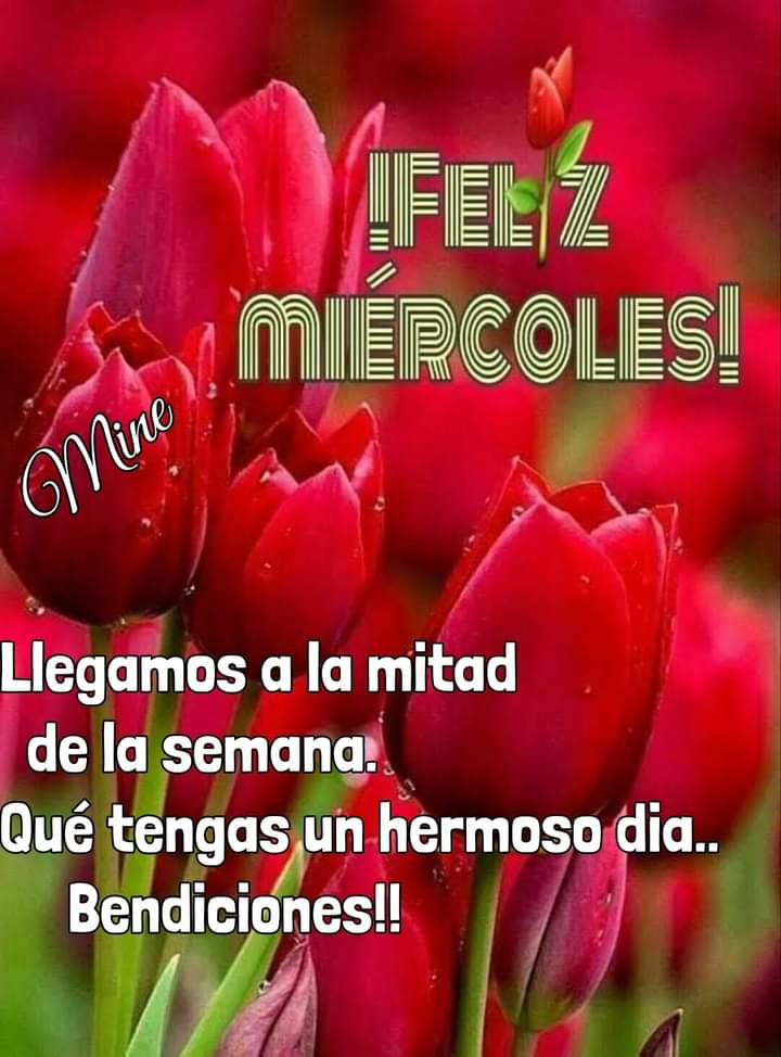 AnaMariaMeridaN's tweet photo. #ana https://t.co/VSKRblTfI1