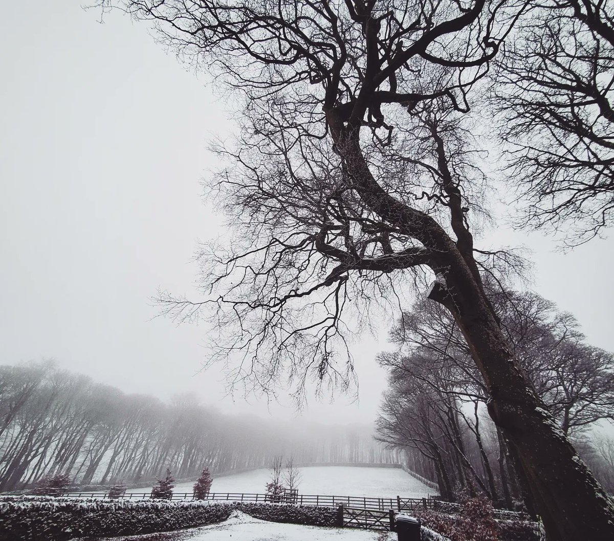 TomesAndTravel's tweet photo. ❄️❄️❄️ https://t.co/CT6O7IgxXg https://t.co/2DLpLITgZF
