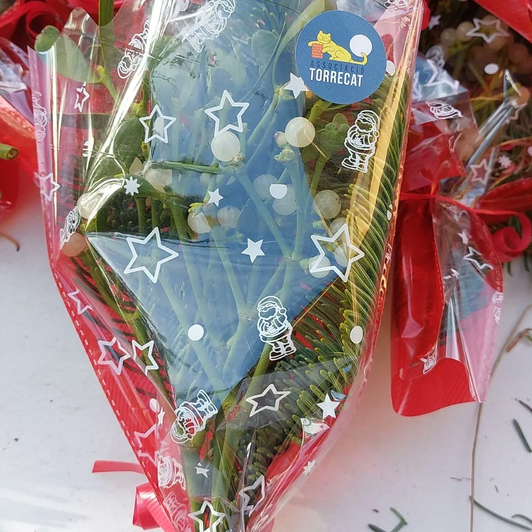 torrecatsocial's tweet photo. 🎄🎄🎄Ja tenim els ramets de vesc preparats 🌿🌼💚
✨Recordeu que els tindreu disponibles dissabte 17 a la paradeta solidària de la plaça de les monges de #Torredembarra per 2€❗
Us esperem! 🎄
#gatsdecarrer #paradetasolidaria #nadal #Torrecat https://t.co/7moJnveFRM