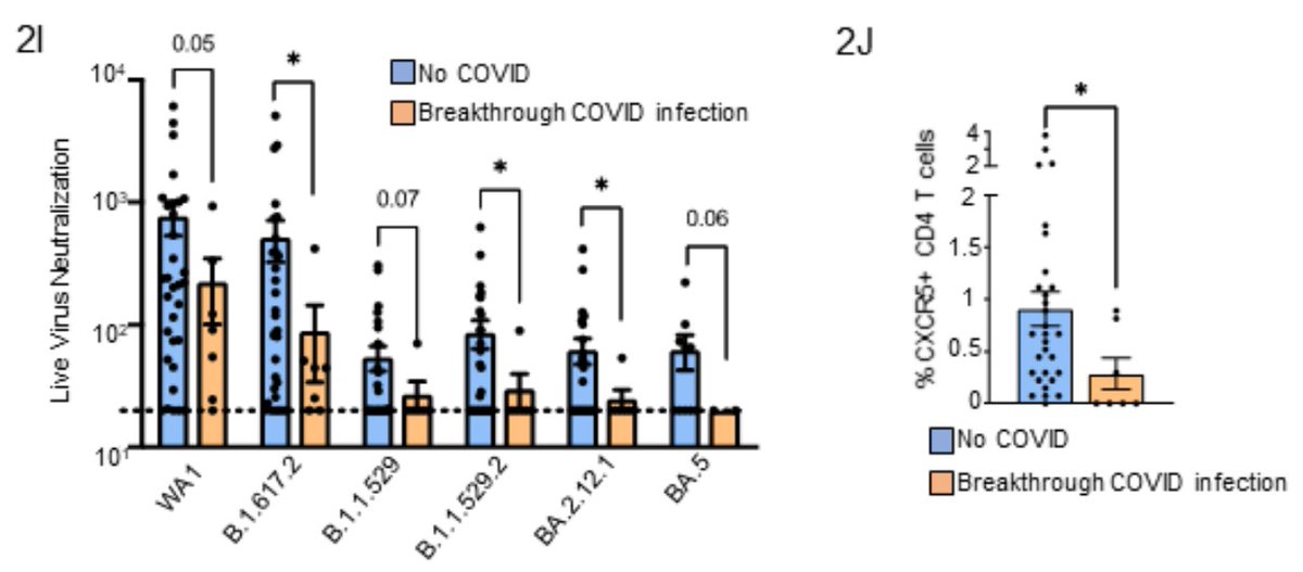 Blood Cancer Discovery (@bcd_aacr) on Twitter photo Impaired neutralization and CD8+ #Tcell responses to current #SARSCoV2 variants of concern following 3x #mRNAvaccine in #myeloma: correlation with #COVID19 breakthrough infections, by Azeem, <a href="/MadhavDhodapkar/">Madhav Dhodapkar</a> et al.
bit.ly/3j2s6Ns
<a href="/WinshipAtEmory/">Winship Cancer Institute of Emory University</a> <a href="/EmoryUniversity/">Emory University</a> #mmsm Impaired neutralization and CD8+ #Tcell responses to current #SARSCoV2 variants of concern following 3x #mRNAvaccine in #myeloma: correlation with #COVID19 breakthrough infections, by Azeem, <a href="/MadhavDhodapkar/">Madhav Dhodapkar</a> et al.
bit.ly/3j2s6Ns
<a href="/WinshipAtEmory/">Winship Cancer Institute of Emory University</a> <a href="/EmoryUniversity/">Emory University</a> #mmsm