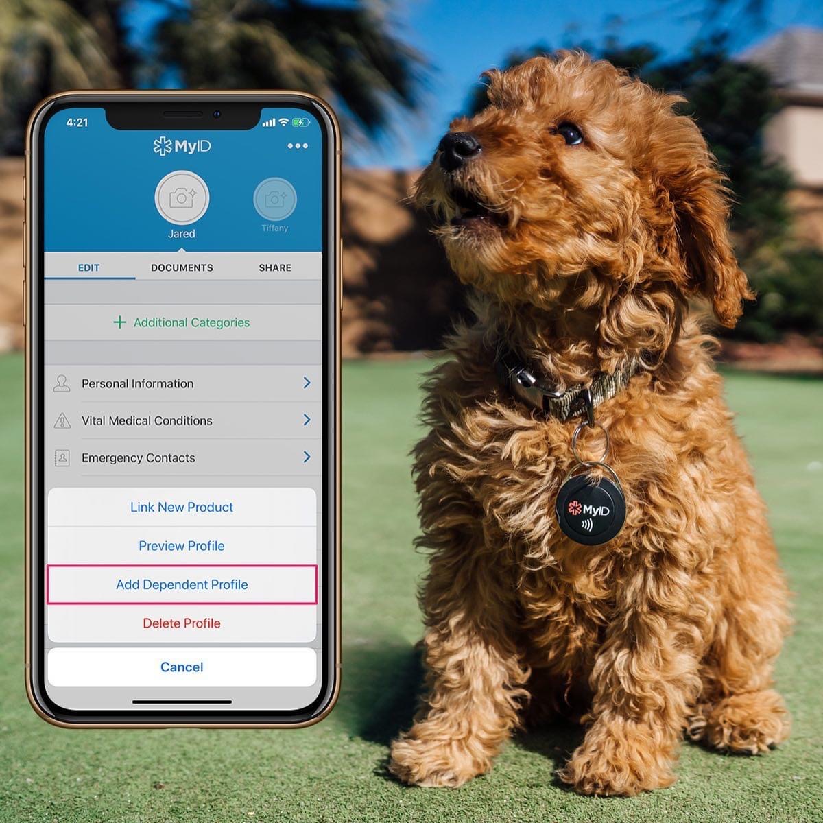 Have peace of mind and keep your fur babies safe with the MyID Tag and their very own profile.