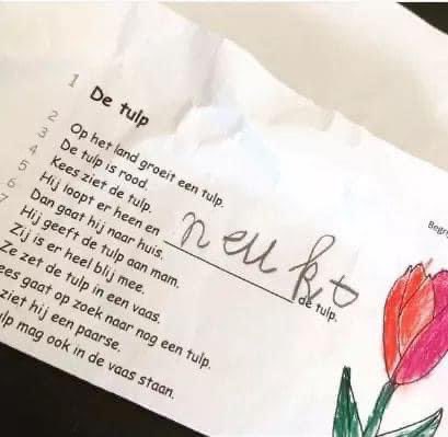 Plukt.
P L U K T
Plukt.