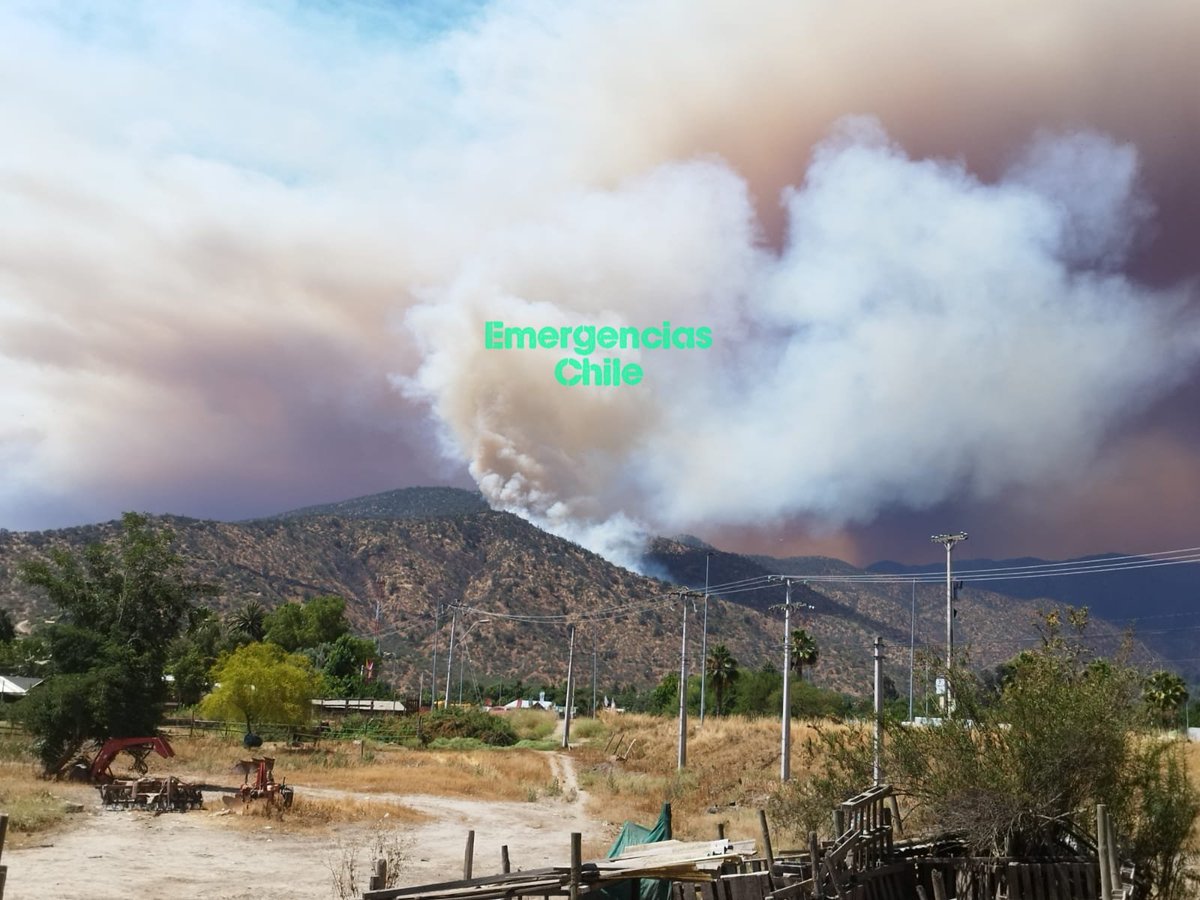 RadioPrensa's tweet photo. 𝗔𝗖𝗧𝗨𝗔𝗟𝗜𝗭𝗔𝗖𝗜𝗢́𝗡 | Incendio Forestal en Curacaví. Bomberos locales trabajan en 2 focos: Fundo Carén y sector Aurora. 

18 carros.
80 Bomberos y Bomberas.  Apoyan Bomberos de Melipilla Talagante, Maipú, Casablanca, Quinta Normal y Santiago.
Brigadas de Conaf. https://t.co/gqVuKmDRfi