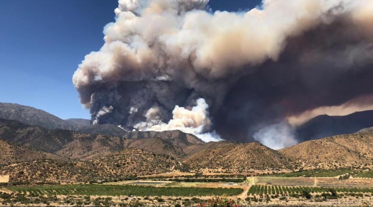 RadioPrensa's tweet photo. 𝗔𝗖𝗧𝗨𝗔𝗟𝗜𝗭𝗔𝗖𝗜𝗢́𝗡 | Incendio Forestal en Curacaví. Bomberos locales trabajan en 2 focos: Fundo Carén y sector Aurora. 

18 carros.
80 Bomberos y Bomberas.  Apoyan Bomberos de Melipilla Talagante, Maipú, Casablanca, Quinta Normal y Santiago.
Brigadas de Conaf. https://t.co/gqVuKmDRfi