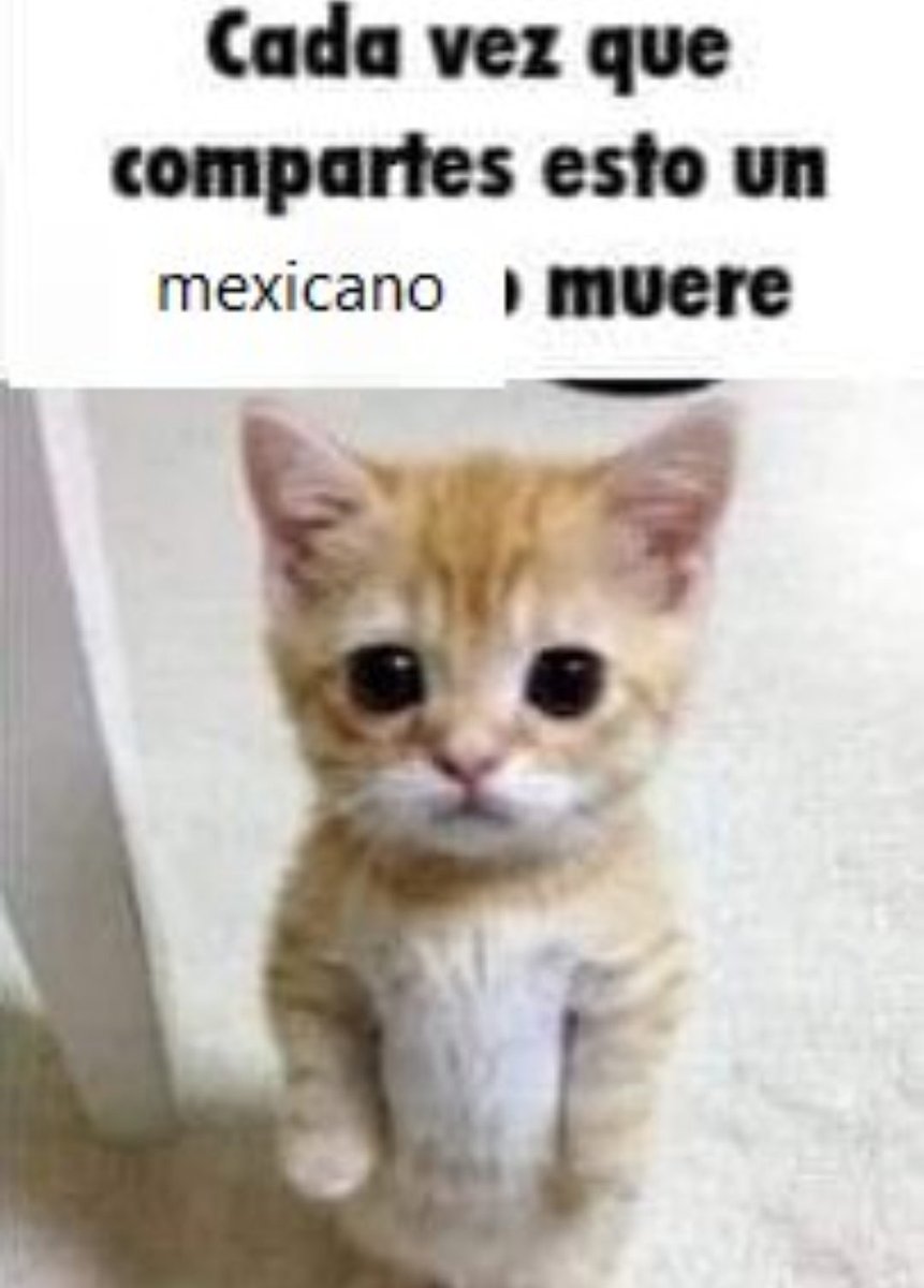Serpias's tweet photo. por favor no compartáis 😢 https://t.co/4RBWTw1SFd