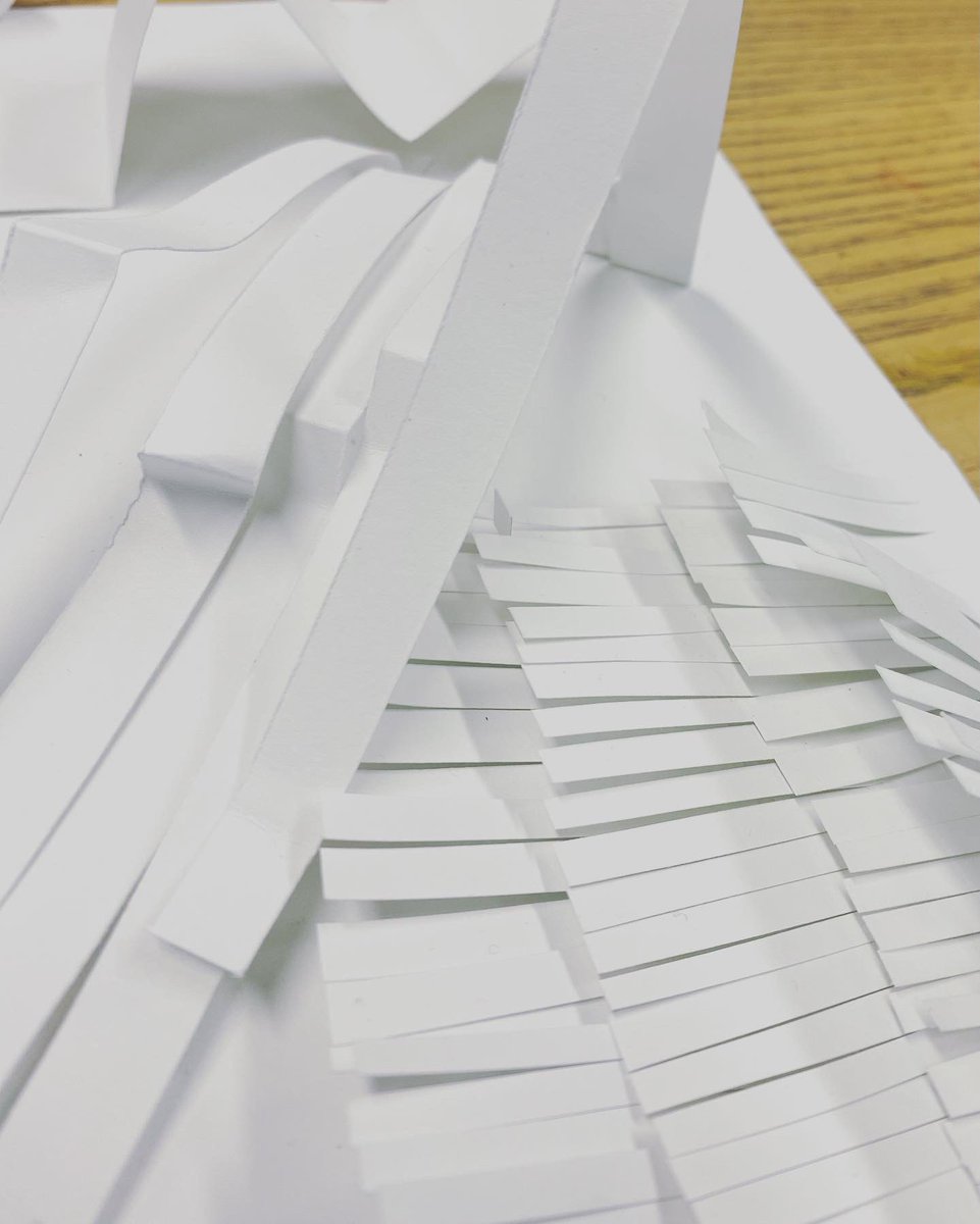 Jamila_Artist's tweet photo. Today at @DesignsInMind HEP Health and equalities programme.

Experimental #paper #sculpture 

#paper #shadow #cut #fold #light
#play #artsforhealth #designsinmind https://t.co/Dd7B6EP0by