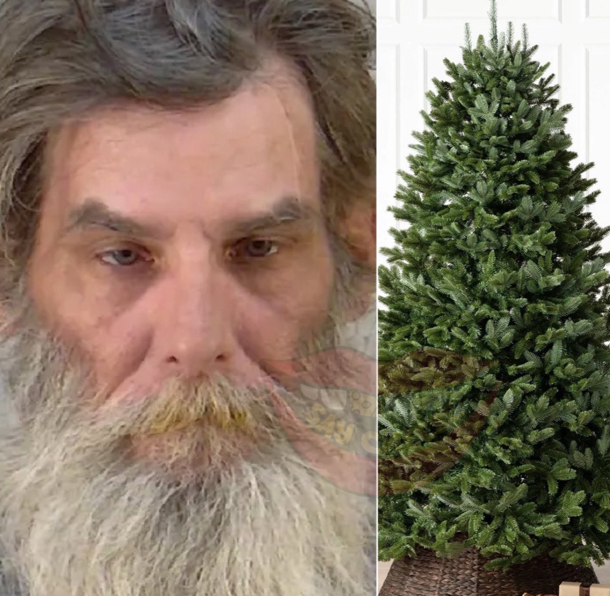 SaycheeseDGTL's tweet photo. Florida man arrested after he allegedly hit his wife with a Christmas tree after she asked for help with making dinner https://t.co/blPcB563uk