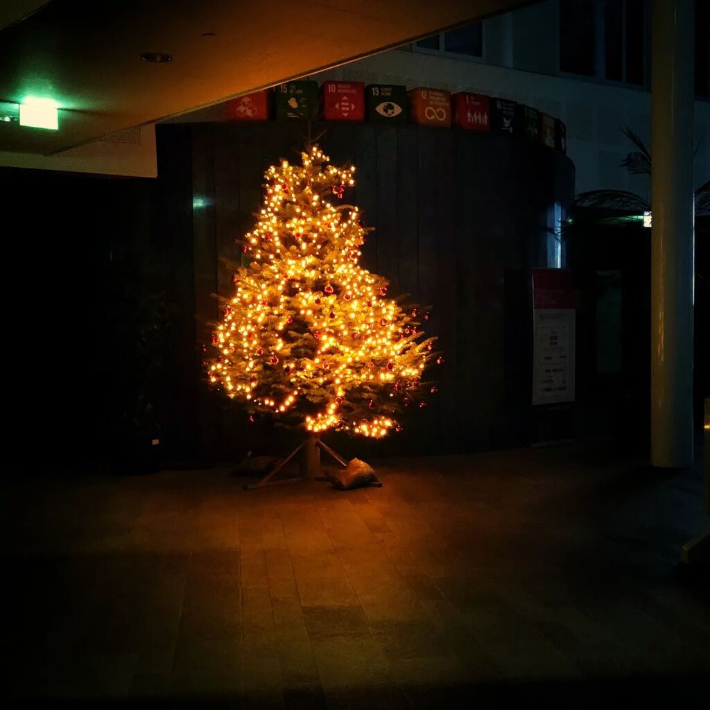 JamGian10's tweet photo. 🎄

#christmas #lights #christmastree @utwente #ravelijn #natale #alberodinatale #luci https://t.co/iTMKBN0jlB https://t.co/mx3aKn381y