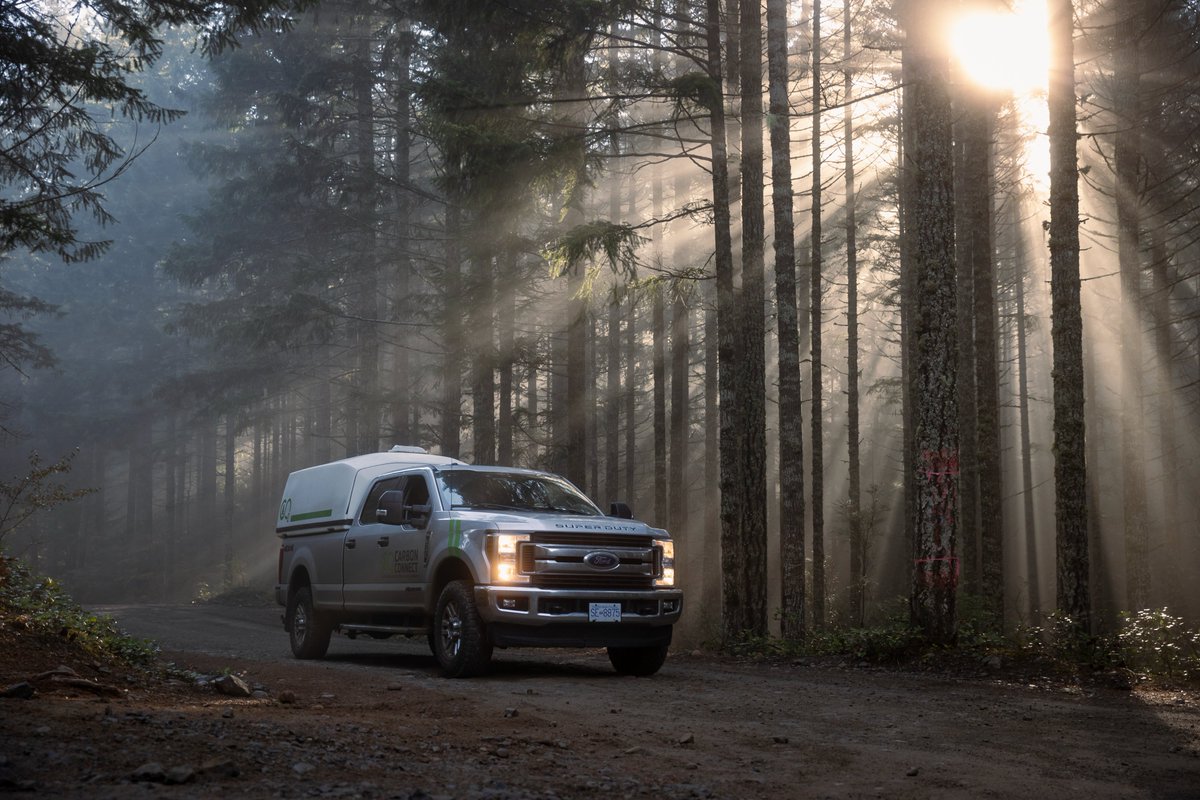 Our analysis company is headed into the forest to originate more valuable data to drive the creation of real carbon offsets