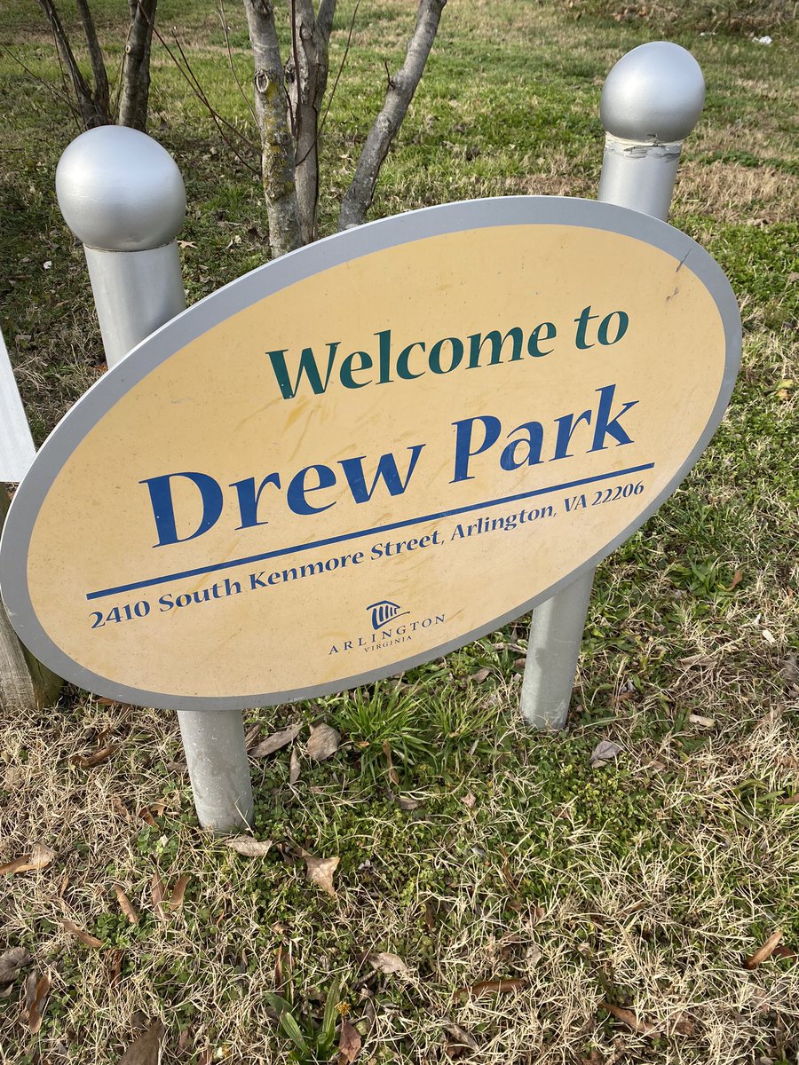 Sara Costa tweet media