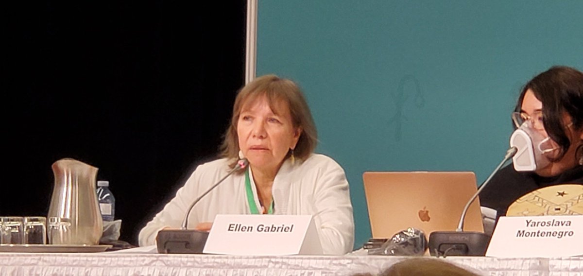 Ellen Gabriel, Molly Wickham and Vanessa Gray calling out Canada's violent racist criminalization of Indigenous land defenders #cop15 #landback