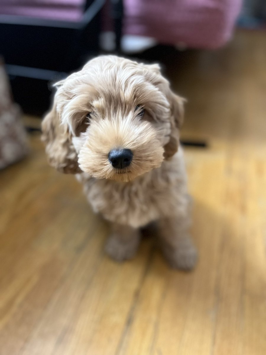 e12ik4's tweet photo. Teddy Bear 🙈 https://t.co/x09MVmdORV