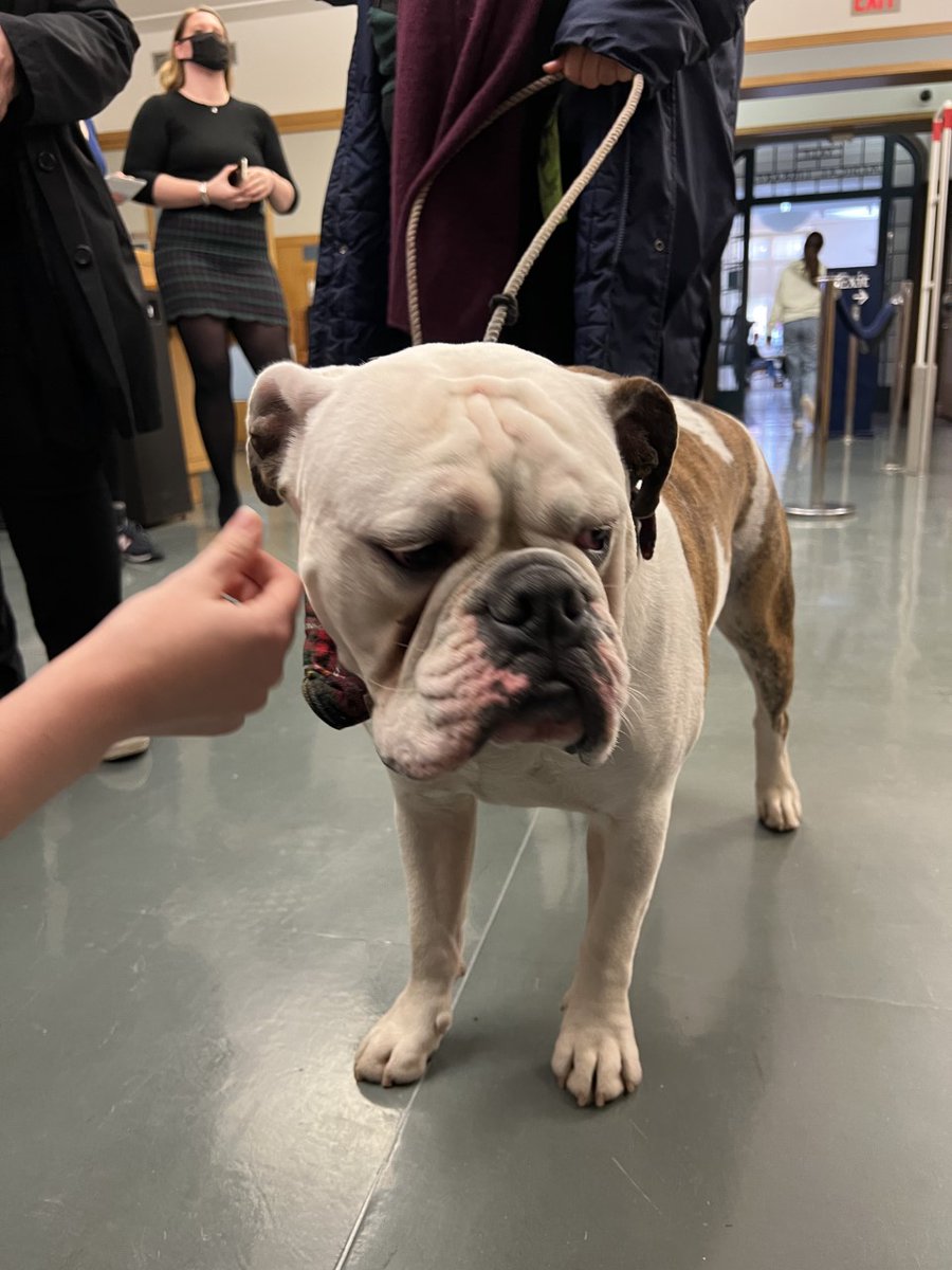 Yale Department of Radiology & Biomedical Imaging on Twitter "On a