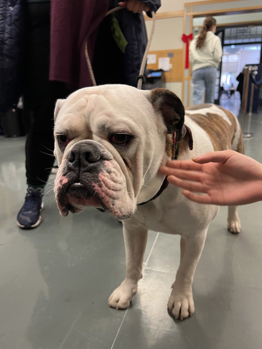 Yale Department of Radiology & Biomedical Imaging on Twitter "On a