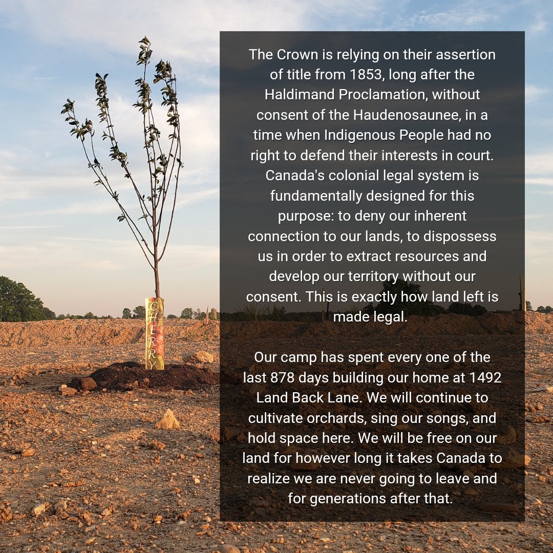 Our camp has spent every one of the last 878 days building our home at 1492 Land Back Lane. We will continue to cultivate orchards, sing our songs  and hold space here. We will be free on our lands.