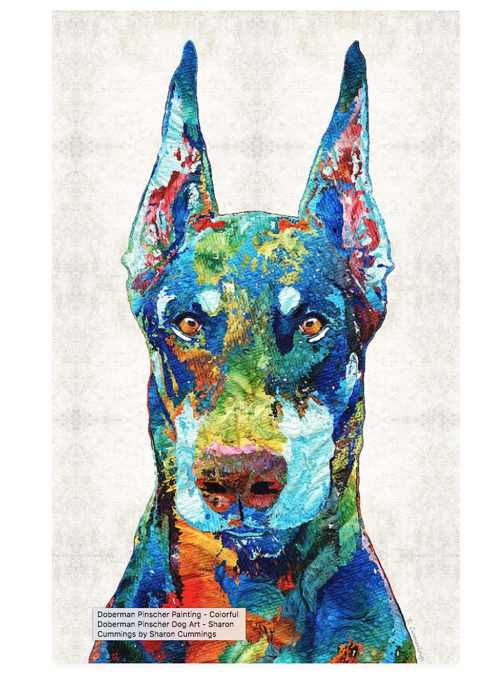 Feel Safe...HERE:  fineartamerica.com/featured/color… #Doberman #dobermanpinscher #dobies #Dog #dogs #dogmom #security #safety2022 #dogsarefamily #DogLover #doglove #doglife #BuyIntoArt #AYearForArt