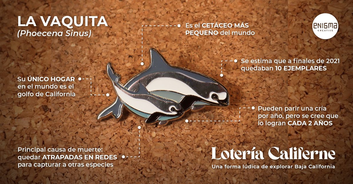 enigmacreative tweet media