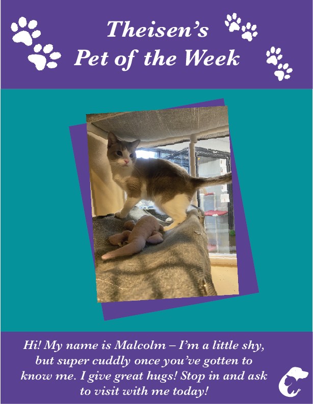 Dubuque Regional Humane Society (@dubuquehumane) on Twitter photo Meet this week's Theisen's Pet of the Week, Malcolm! Meet this week's Theisen's Pet of the Week, Malcolm!