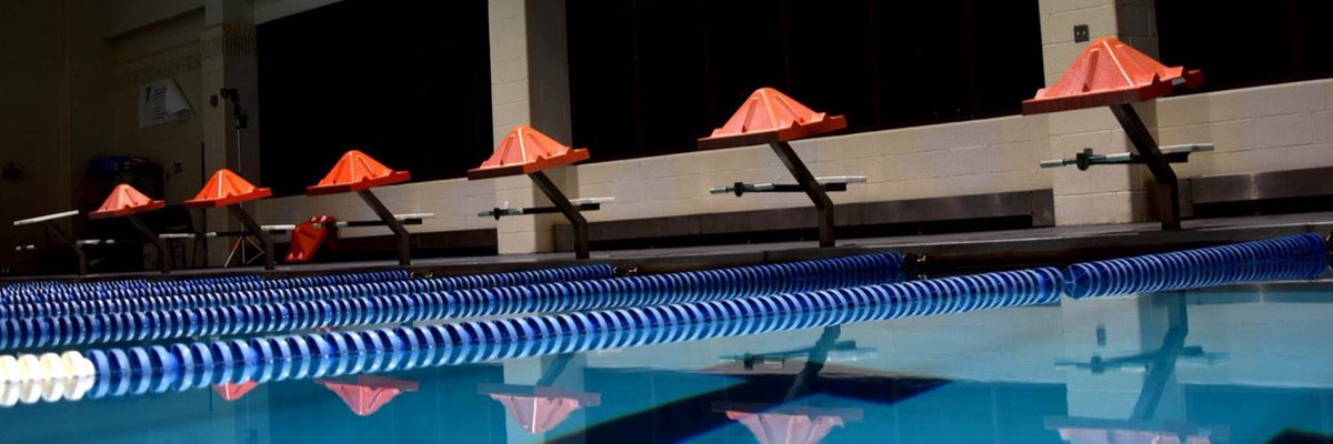 Marion Harding Swimming tweet media