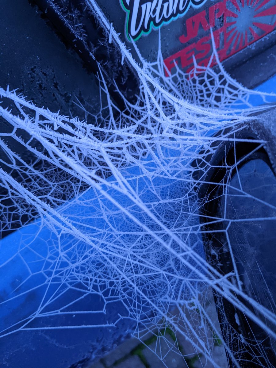 #cobweb  captured in #Cork ahead of the Status Orange .