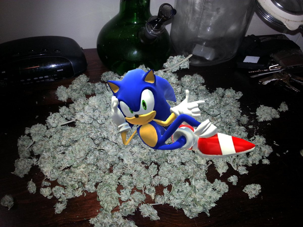 you’ve heard of elf on the shelf but have you heard of