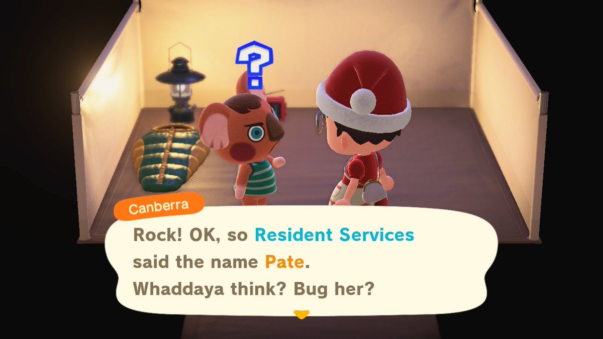 Ellis Ates tweet media