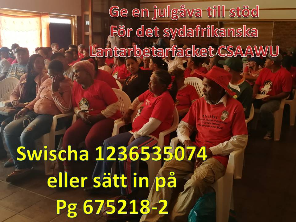 LivsSolidaritet's tweet photo. Stöd julinsamlingen, facklig kamp underifrån gör skillnad! 
#InternationellSolidaritet #arbpol #FackligaFrågor 
https://t.co/5rrHRxfMJt https://t.co/j25ZuB0pzX