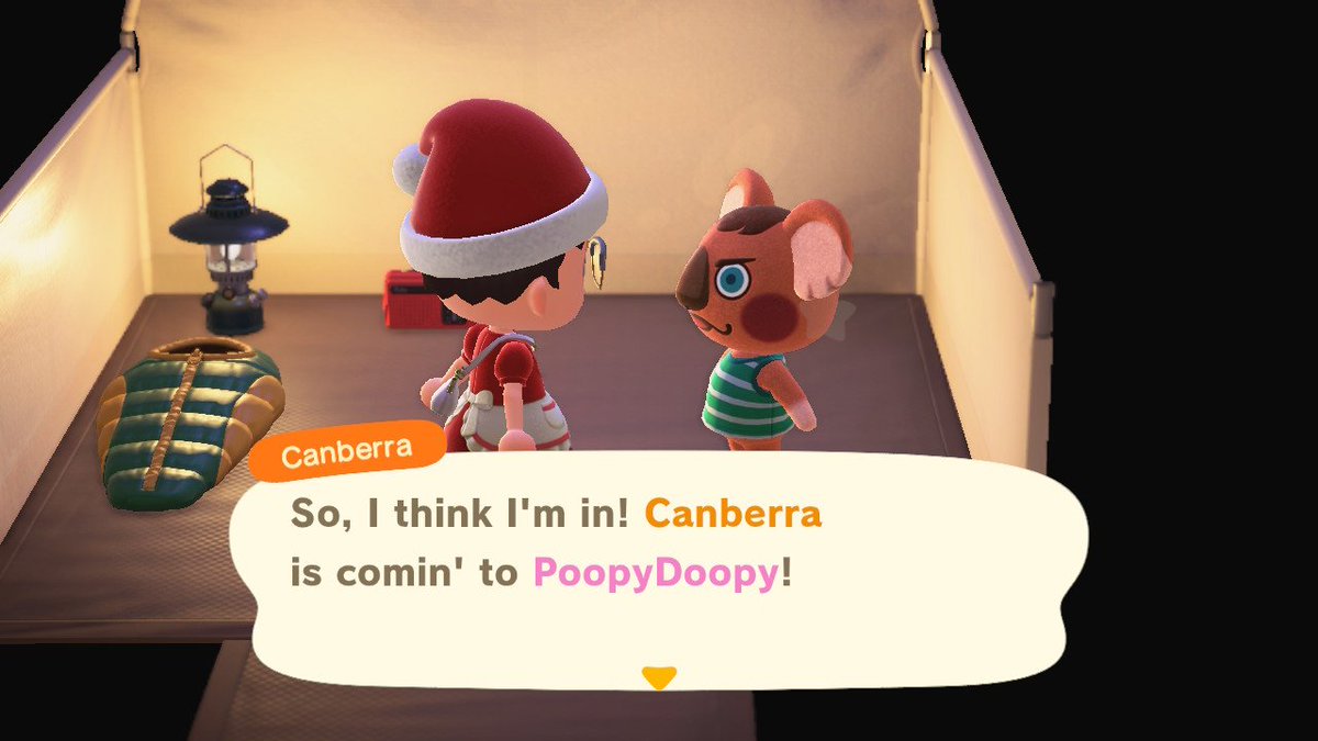 Ellis Ates tweet media