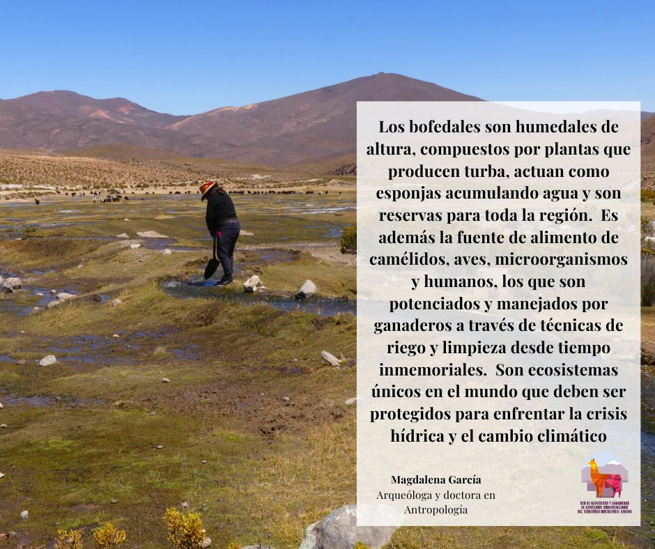 Red Ganaderos tweet media