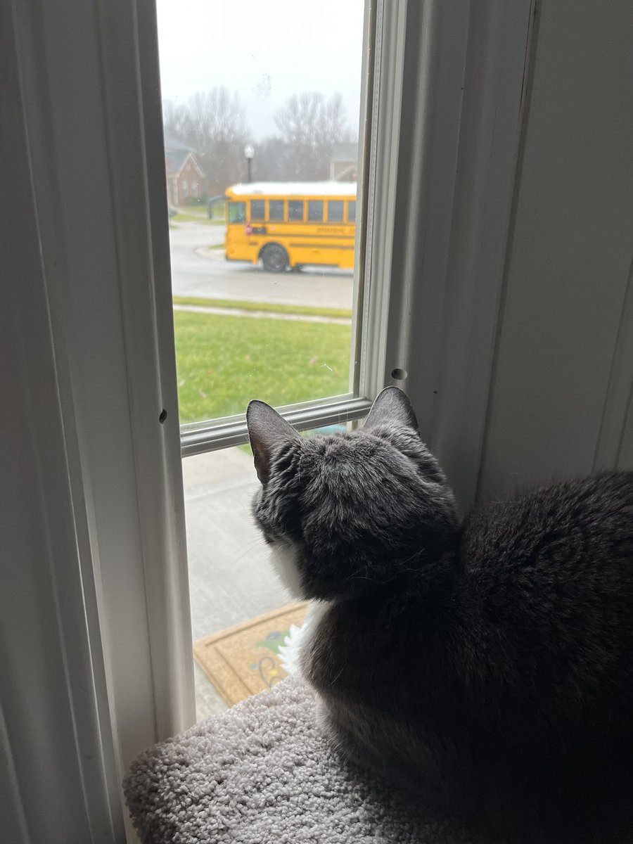BurtyButt's tweet image. Waiting for the kid to get off the bus.