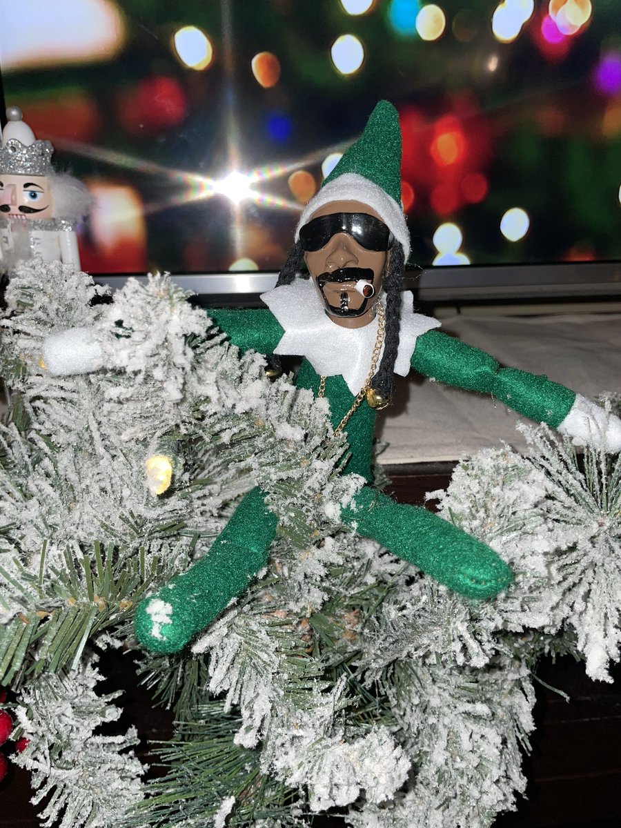 CanadianMom79's tweet image. My Snoop on a Stoop is the best thing this year 😂😂 #Snoop #SnooponaStoop @SnoopDogg