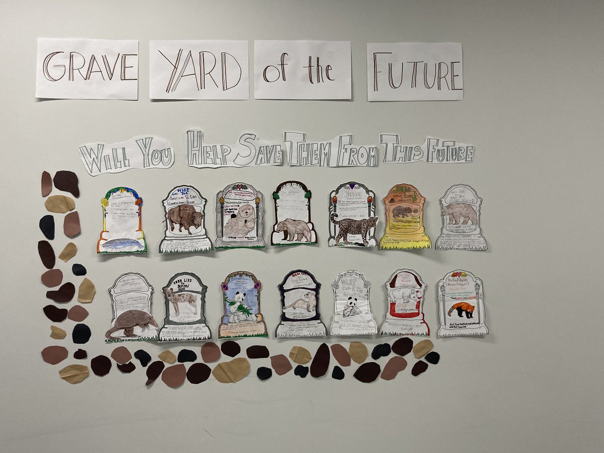 PreAP Biology students have taken a closer look at the future of these endangered animals 🐋🦭🦍🦧🐅🦋🐘🦏🦬🦦 💀 🪦 #richinstudentsuccess #EndangeredSpecies #biology