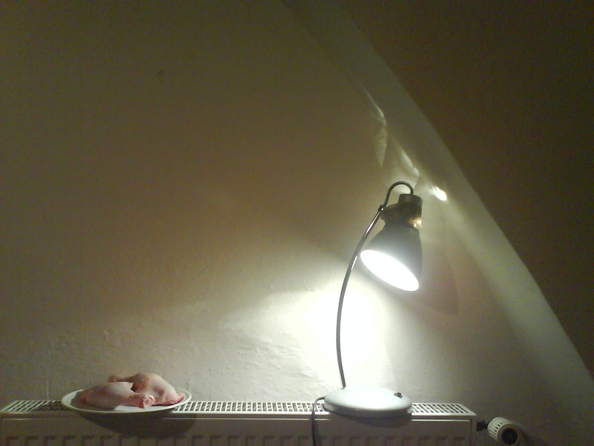 Drunur (@drunur1) on Twitter photo 