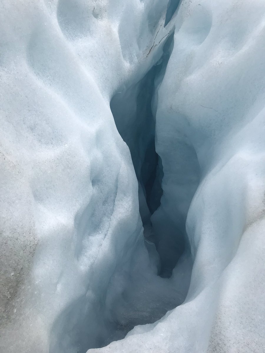 Calla Gould-Whaley tweet media